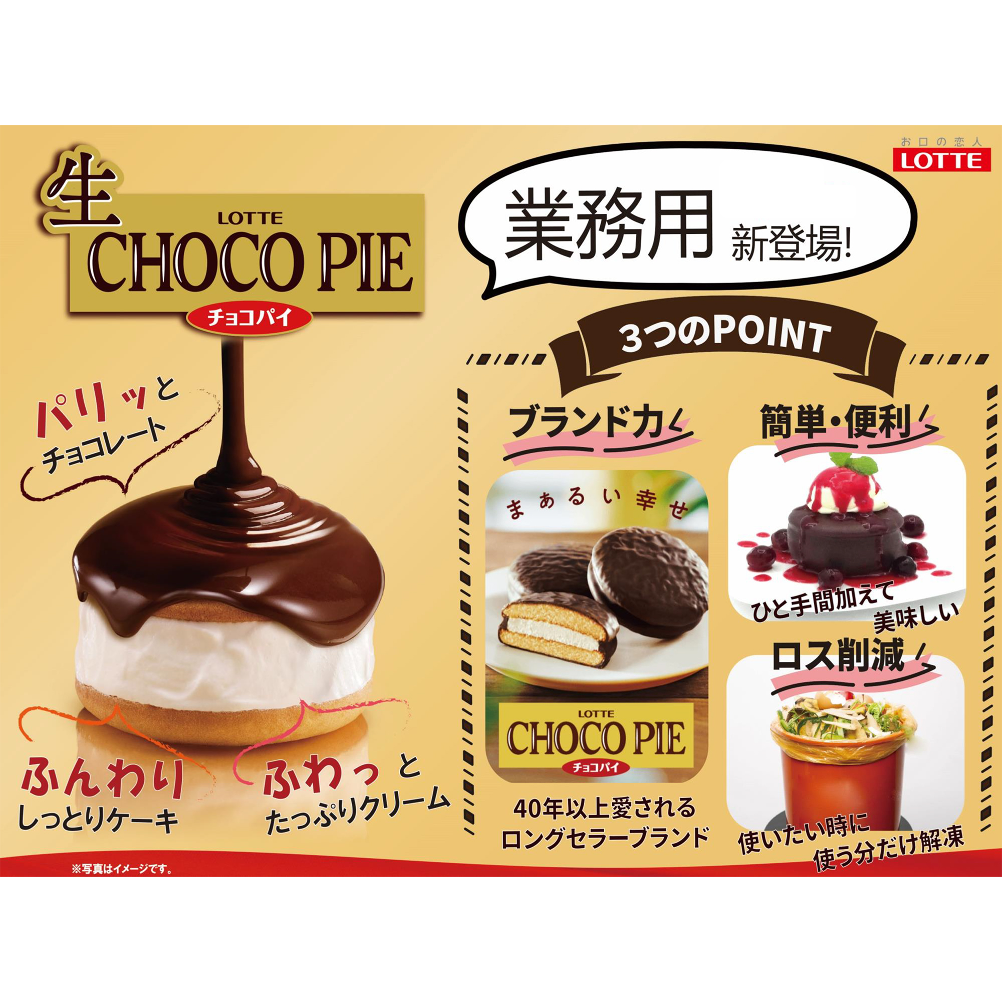 パンフレット|ロッテアイス・生チョコパイ(業務用) パンフレット|ロッテアイス・生チョコパイ(業務用)